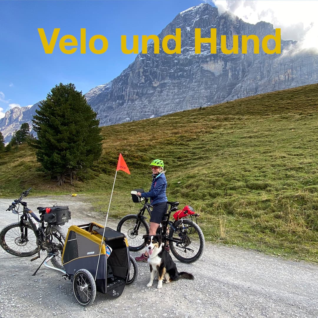 DogTalk Hund und Velo