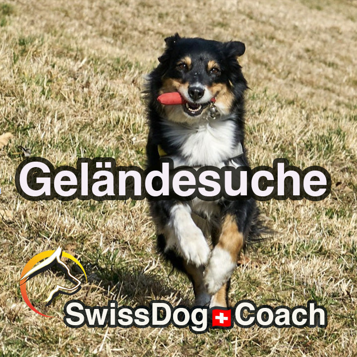 Geländesuche mit dem Hund