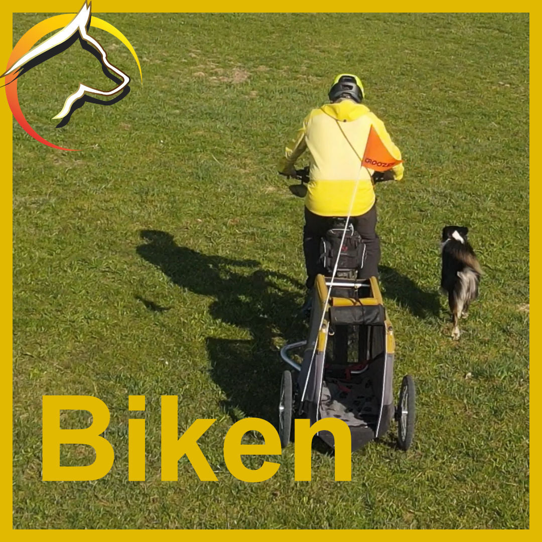 Biken mit Hund