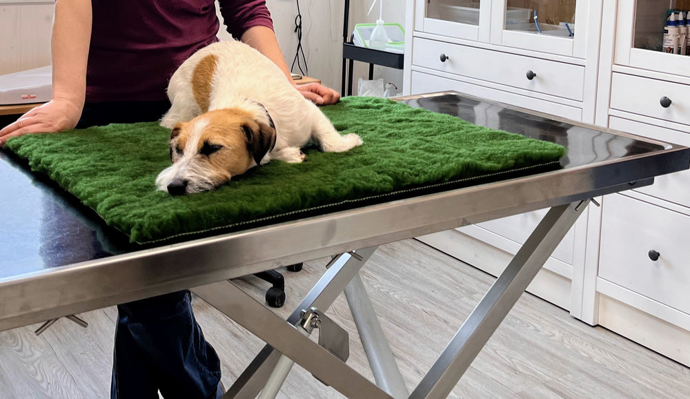 Vetbed beim Tierarzt