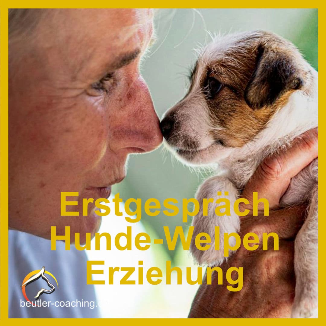 Erst Gespräch Hunde-Welpen