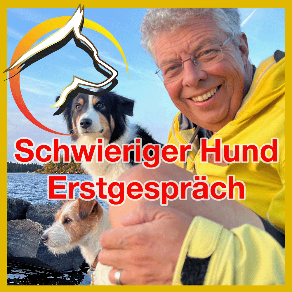 Erstgespräch - Schwieriger Hund: Starte risikofrei!