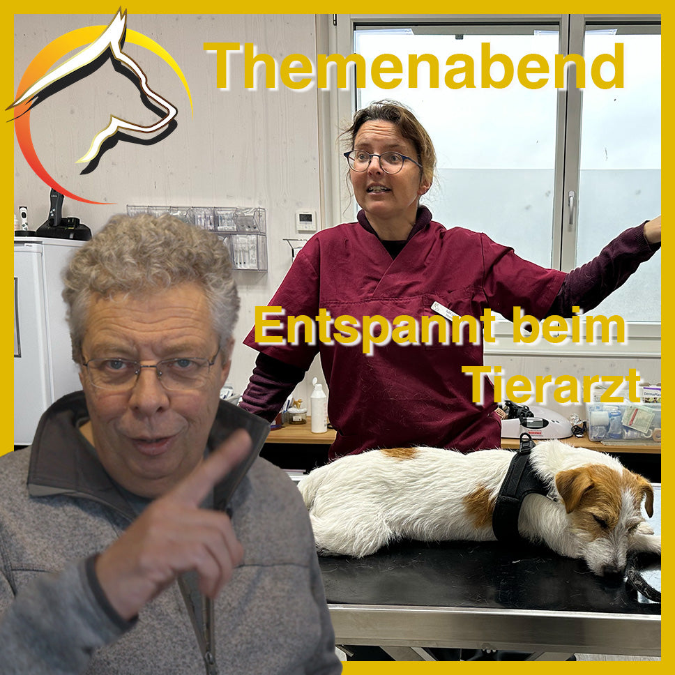 Themenabend - Entspannt beim Tierarzt