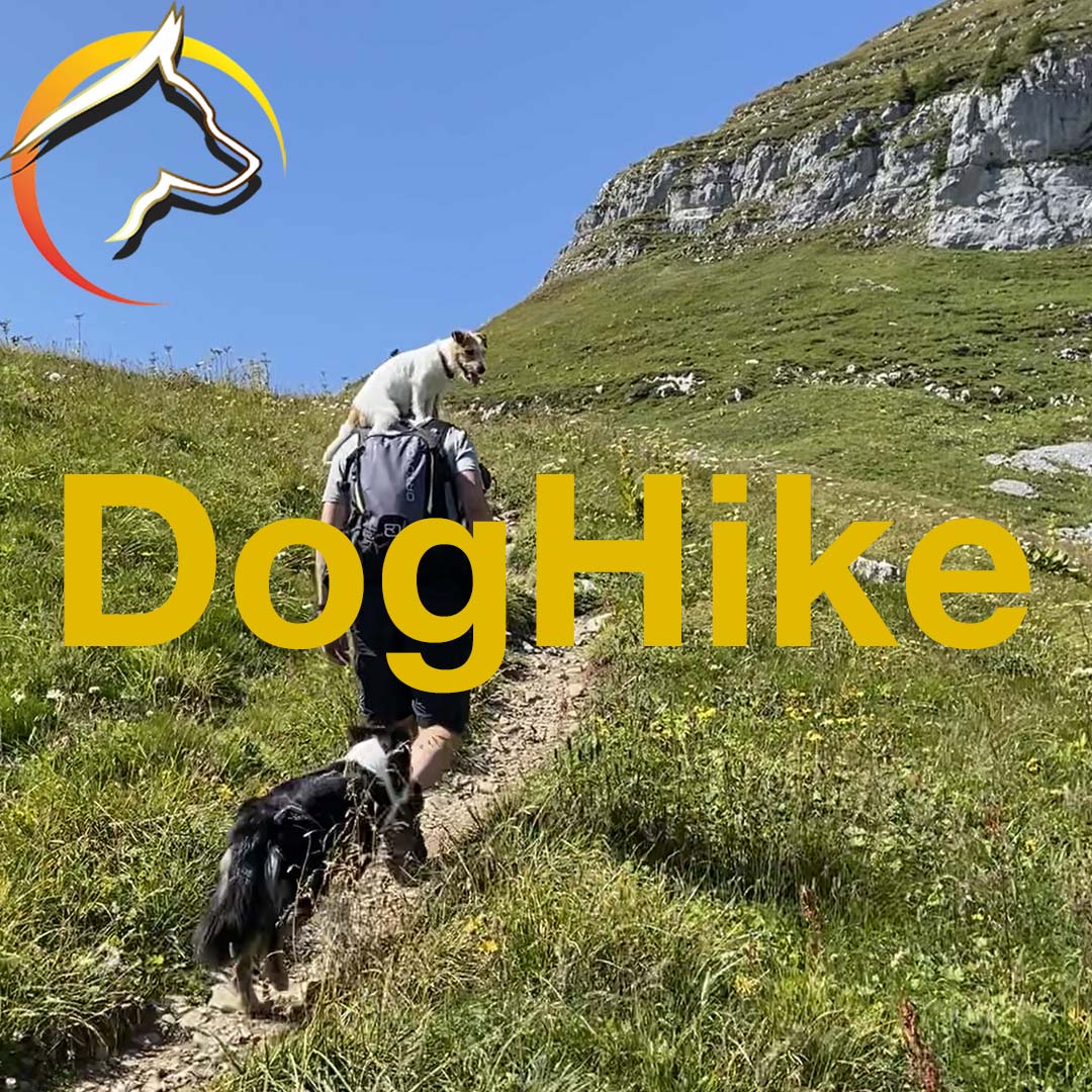 DogHike – gemeinsam unterwegs