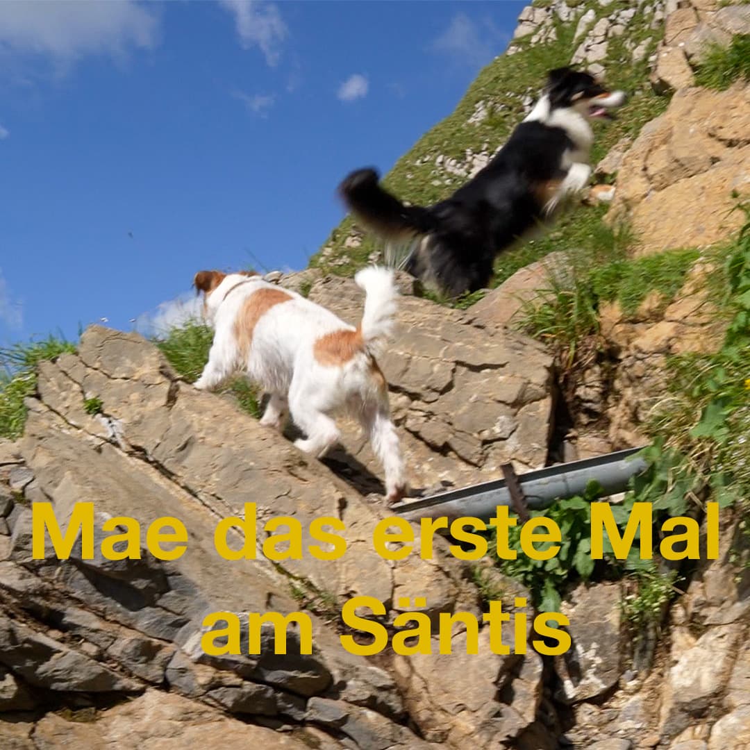 Das erste Mal am Säntis mit Mae