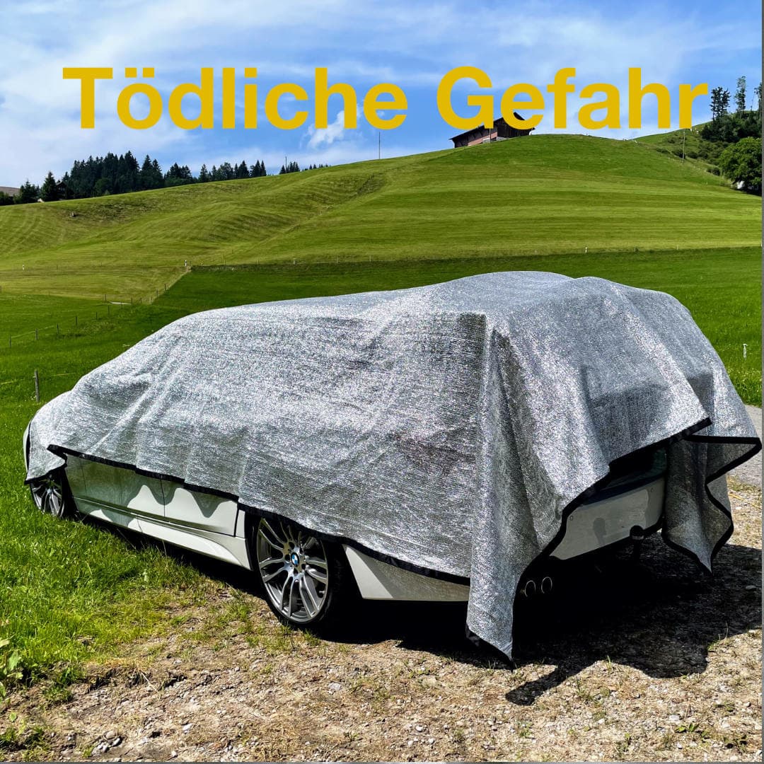 Hunde im Sommer - tödliche Gefahren - SwissDog🇨🇭Coach