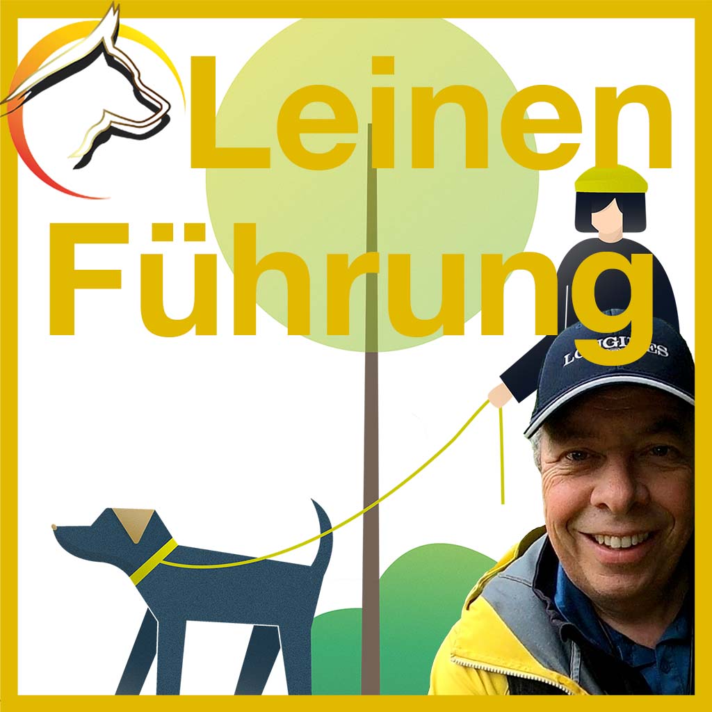 Leinen Führung