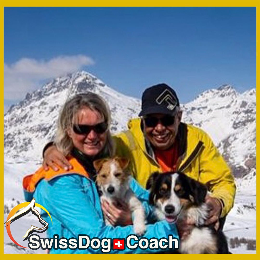 Mit Hund, Skis oder Schneeschuhen: Ein Winterabenteuer der besonderen Art - SwissDog🇨🇭Coach