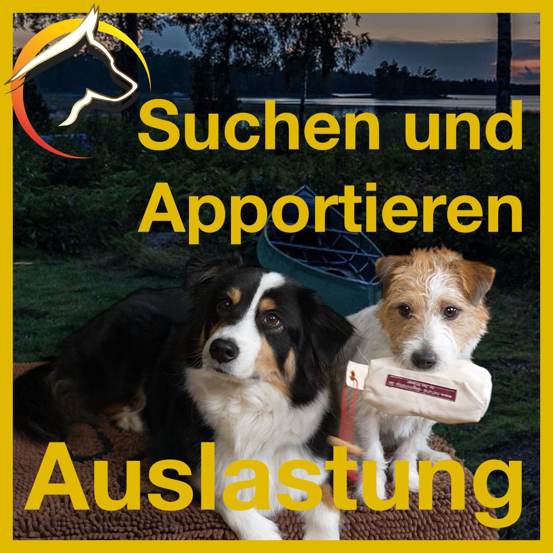 Suchen und Apportieren - Auslastung - SwissDog🇨🇭Coach