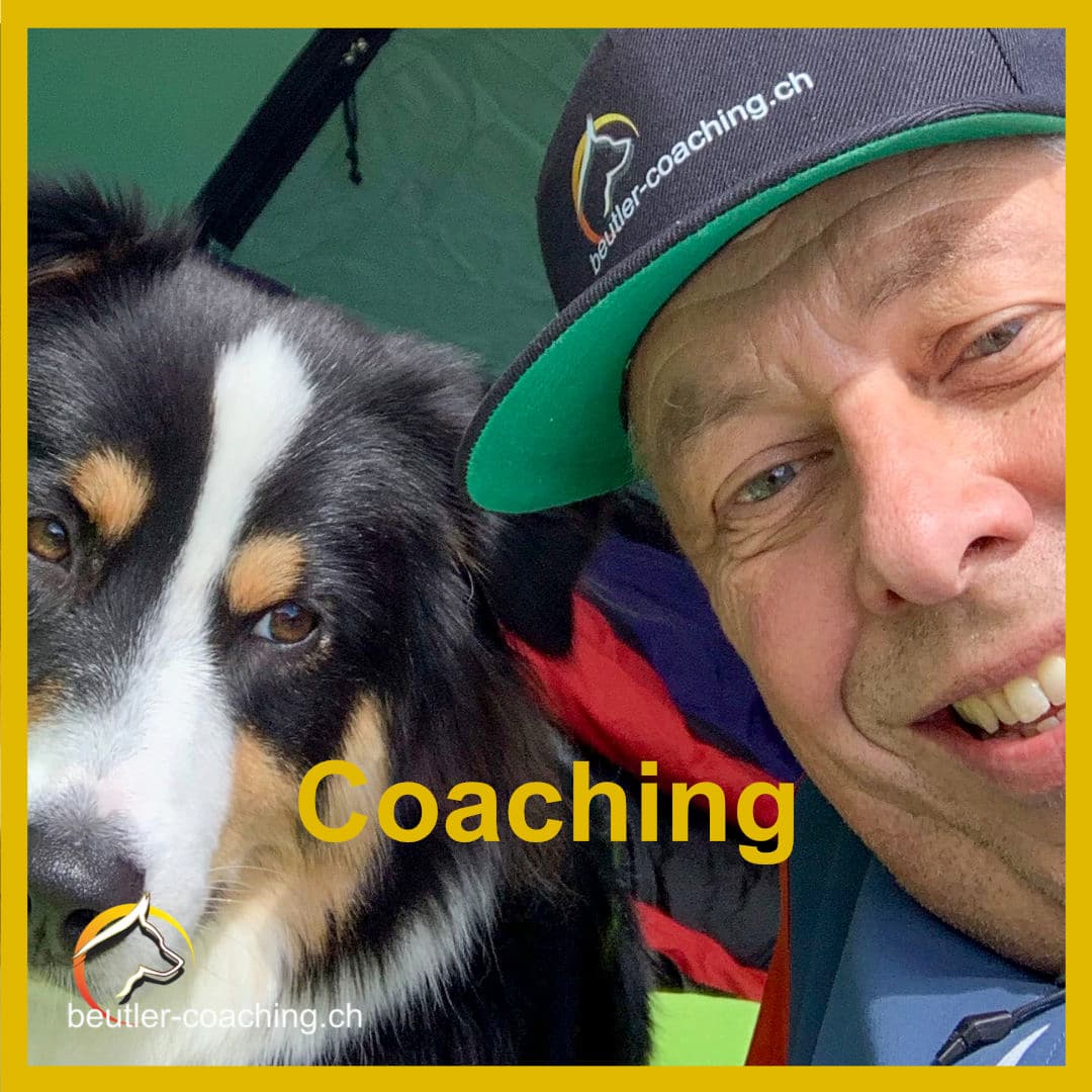 Coaching - SwissDog🇨🇭Coach
