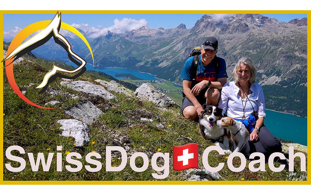 Favoriten - SwissDog🇨🇭Coach