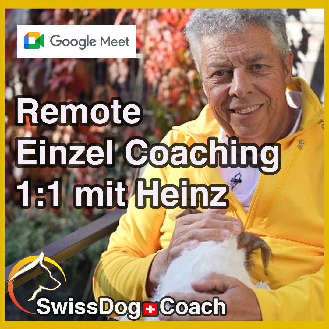 Remote Einzel Coaching 1:1 mit Heinz - SwissDog🇨🇭Coach