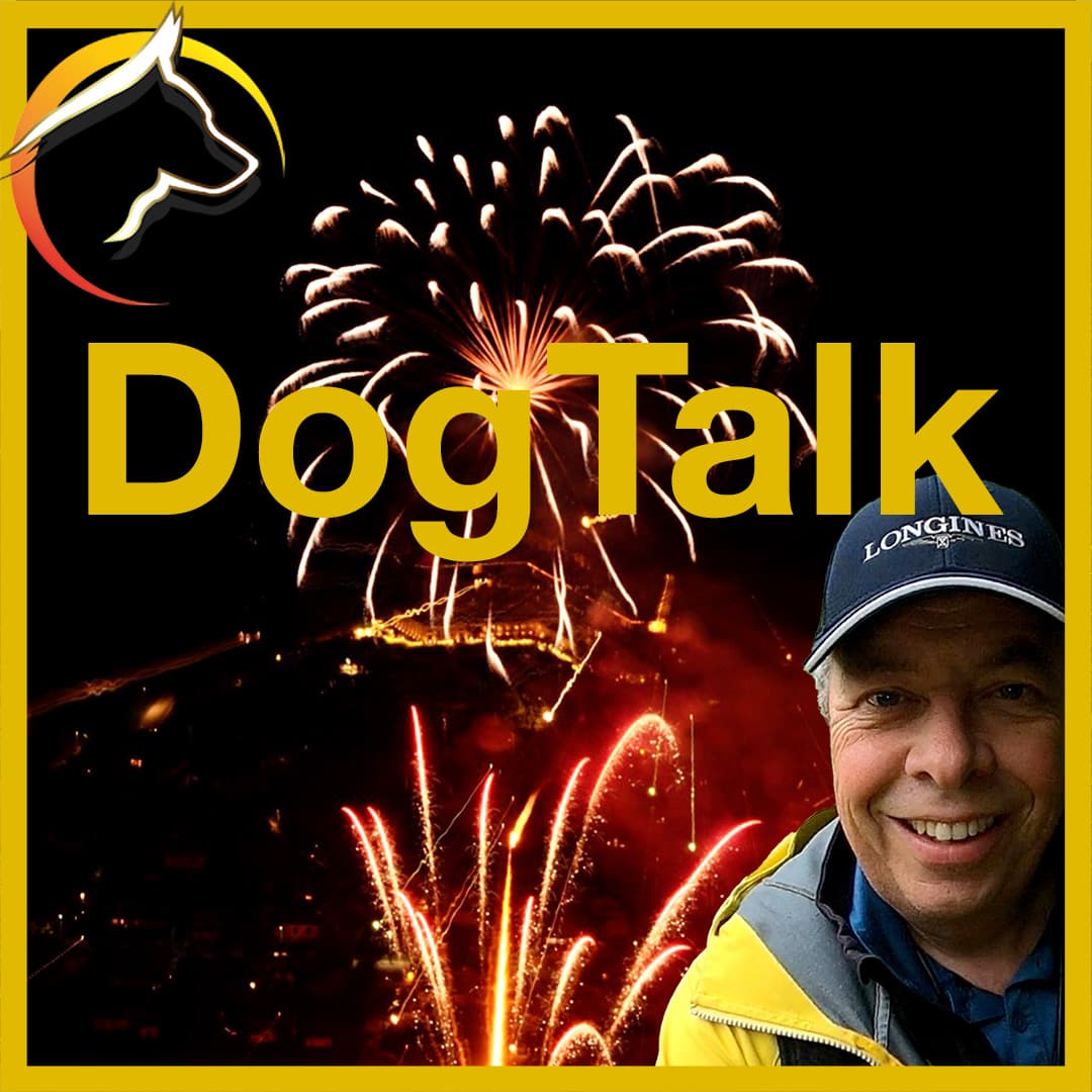 DogTalk Hunde und Feuerwerk