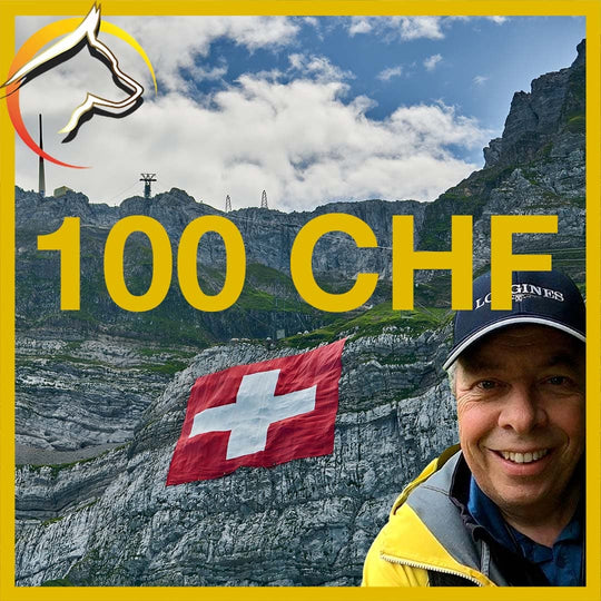 Beutler Coaching GmbH - Gutschein - SwissDog🇨🇭Coach