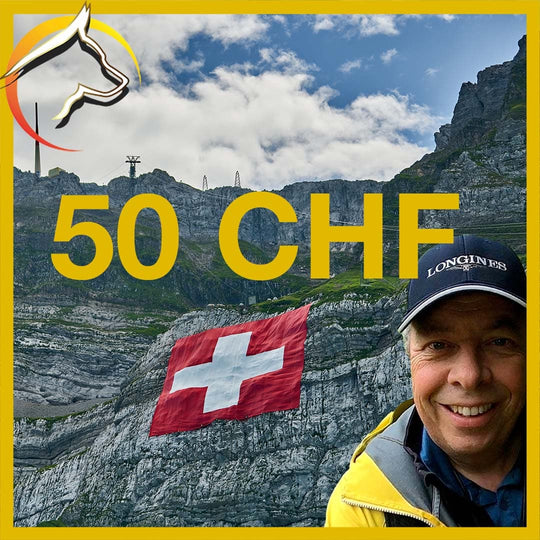 Beutler Coaching GmbH - Gutschein - SwissDog🇨🇭Coach