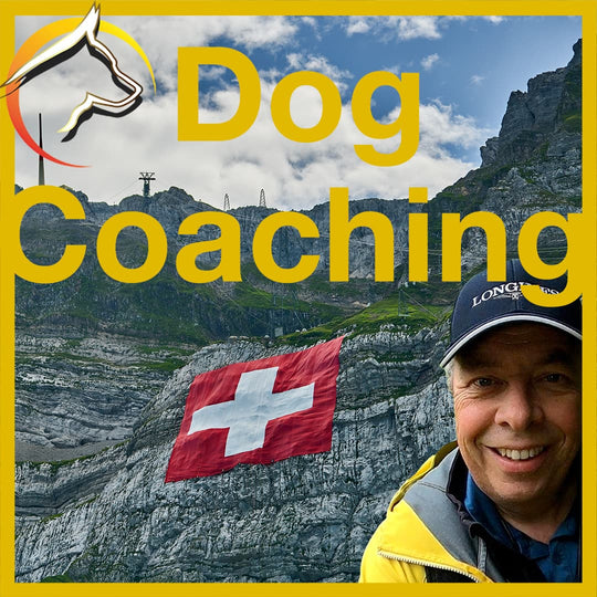 Beutler Coaching GmbH - Gutschein - SwissDog🇨🇭Coach