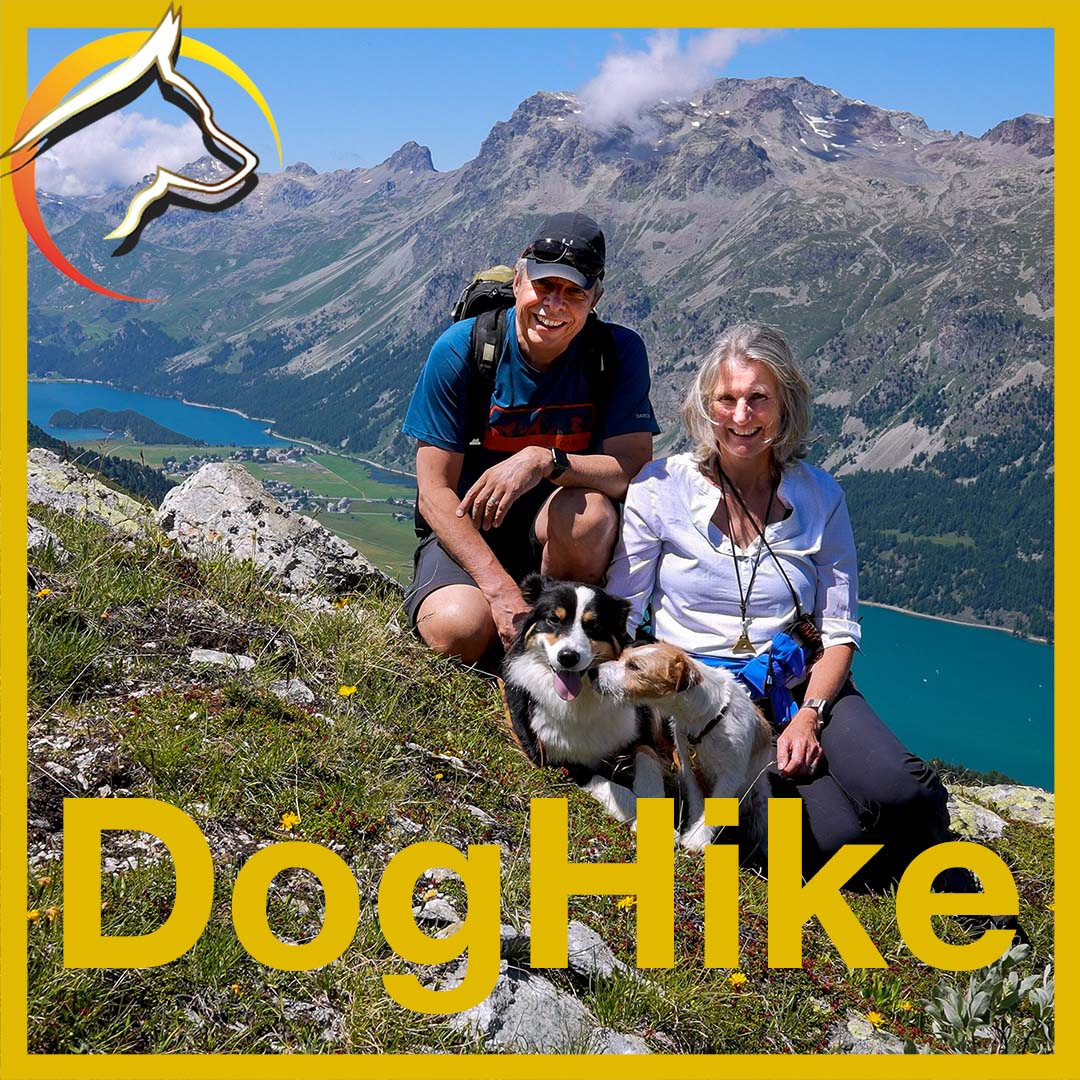 DogHike - SwissDog🇨🇭Coach