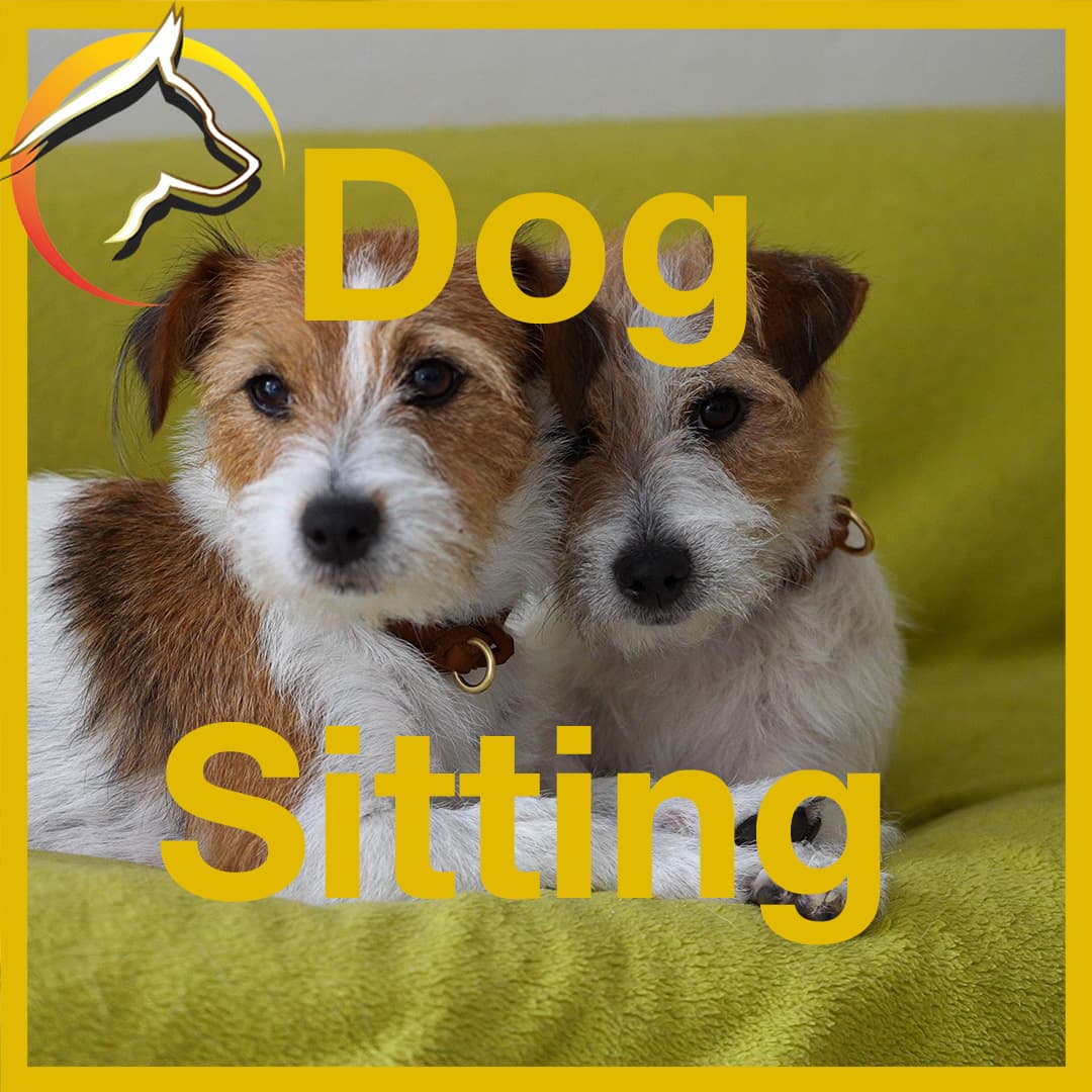 DogSitting - SwissDog🇨🇭Coach