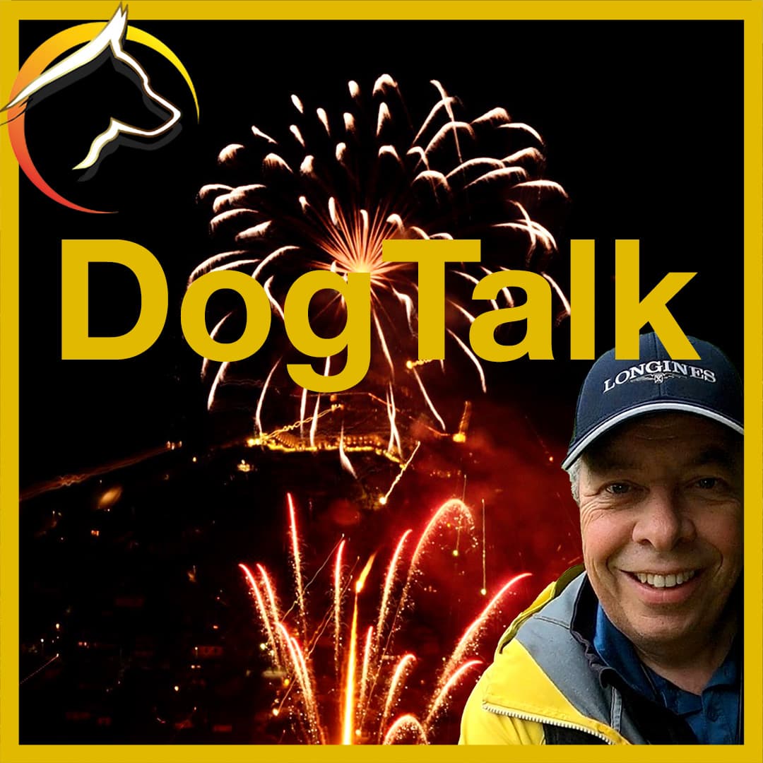DogTalk Hunde und Feuerwerk - SwissDog🇨🇭Coach
