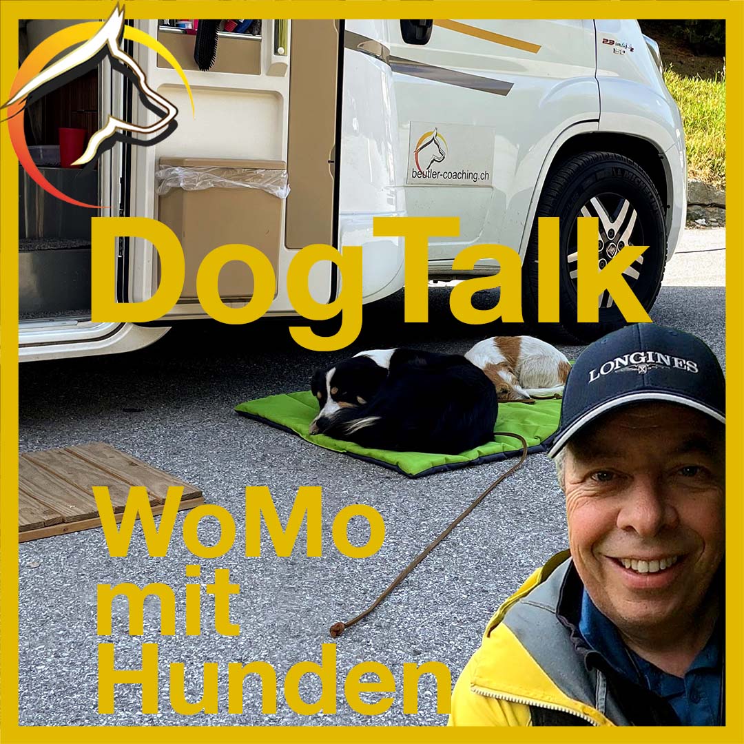 DogTalk WoMo mit Hunden - SwissDog🇨🇭Coach