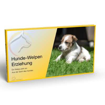 Dokument ein Welpe zieht ein - SwissDog🇨🇭Coach