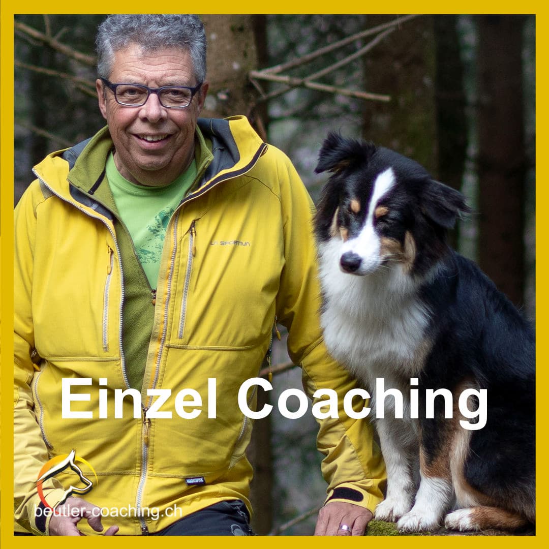 Einzel Coaching - SwissDog🇨🇭Coach