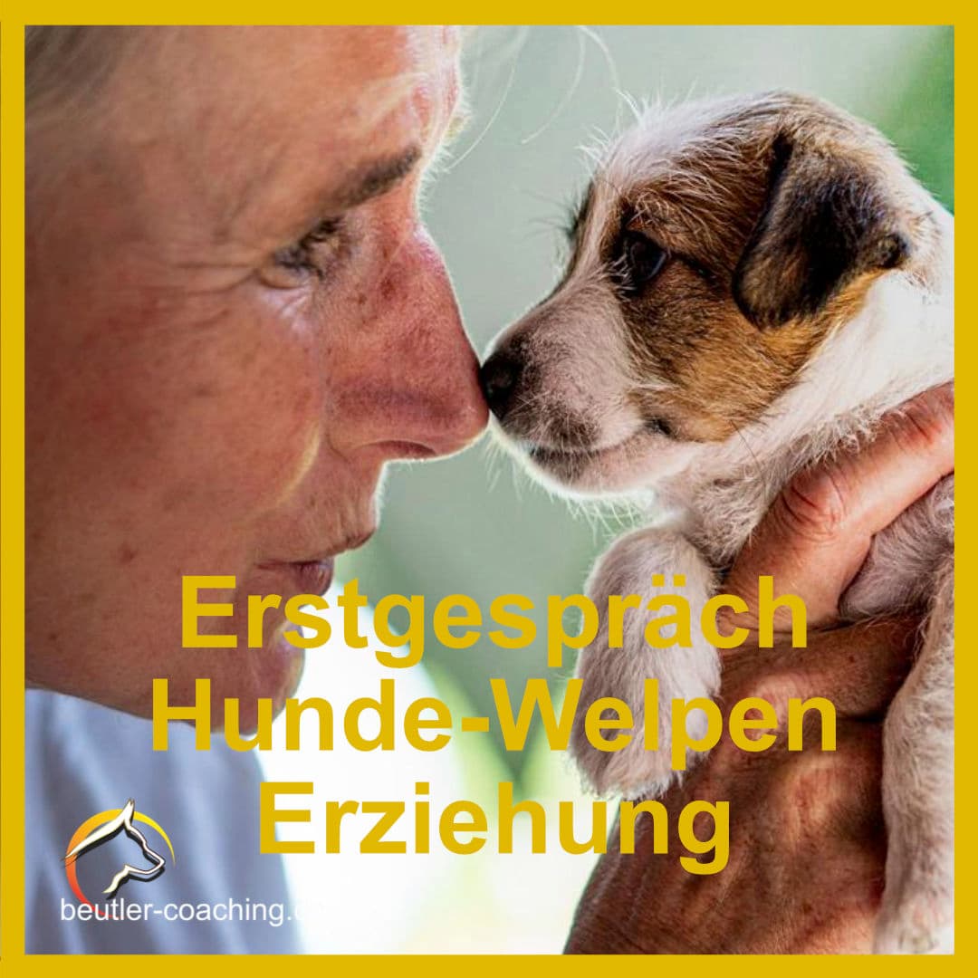Erst Gespräch Hunde - Welpen - SwissDog🇨🇭Coach