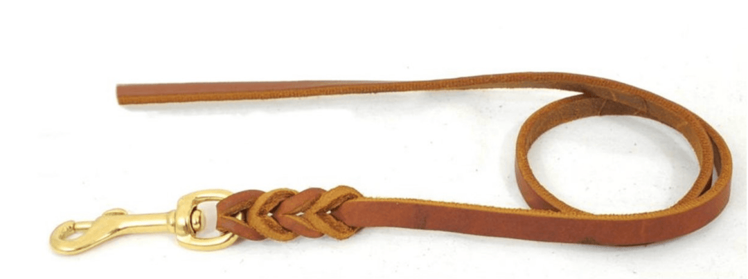 Fettleder Führleine 3 Meter ohne Handschlaufe - SwissDog🇨🇭Coach