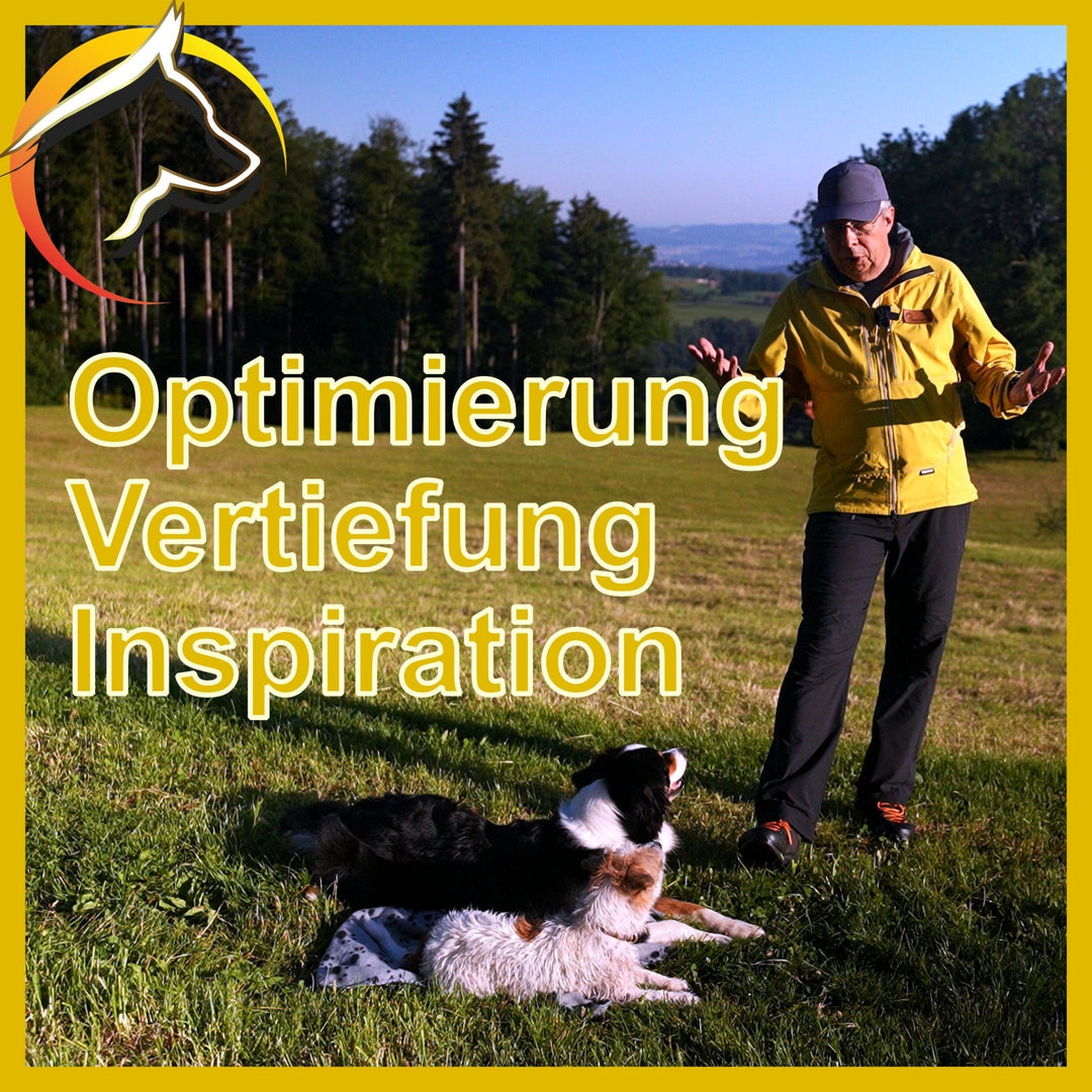 Hunde - Führung - Optimierung - Vertiefung - Inspiration - SwissDog🇨🇭Coach